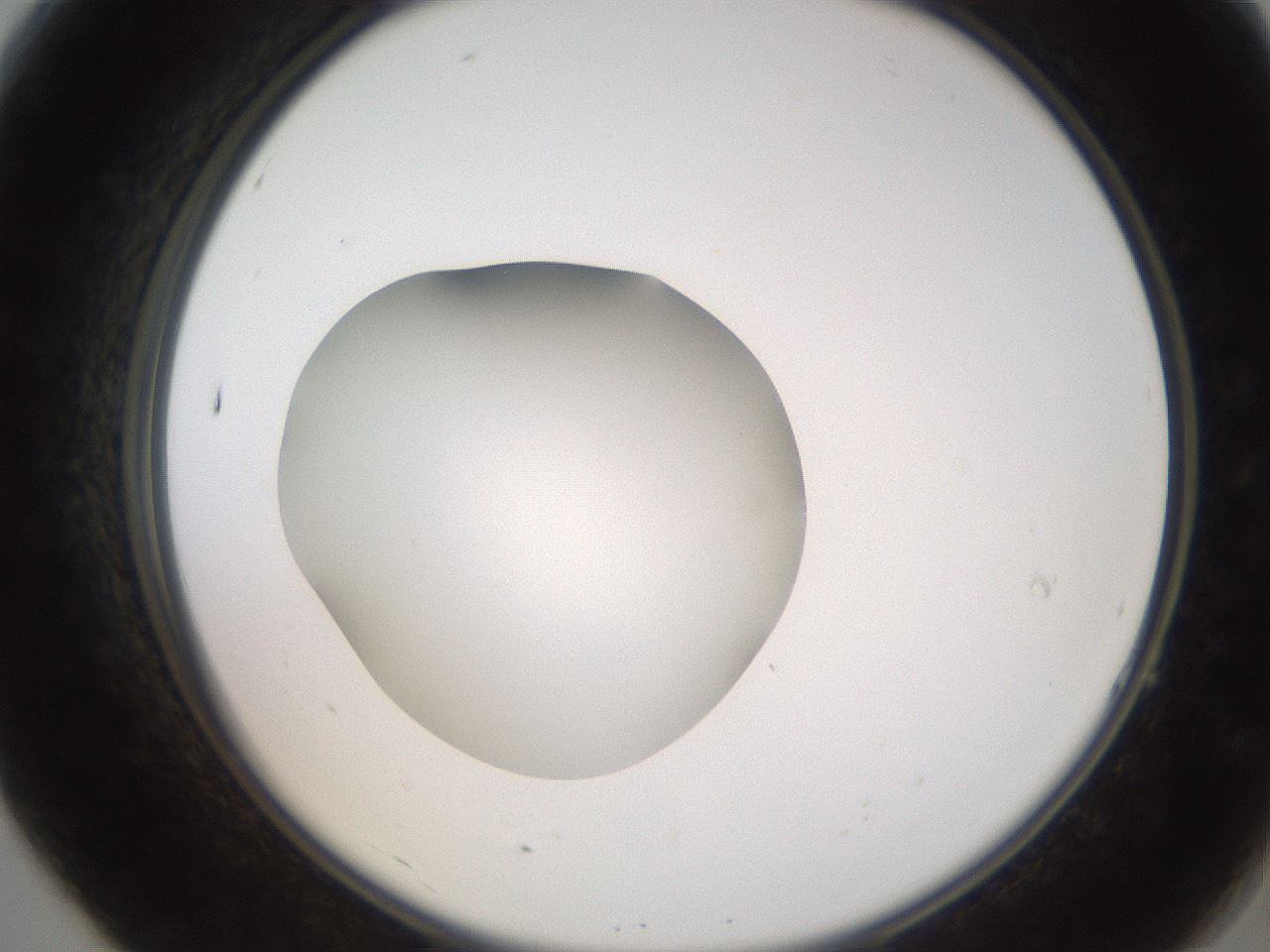 folderID257_plateID2257_batchID10332_wellNum7_profileID1_d2_r156623_ef.jpg