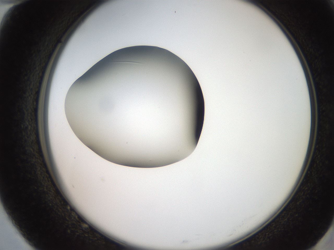 folderID257_plateID2257_batchID10332_wellNum82_profileID1_d2_r156773_ef.jpg