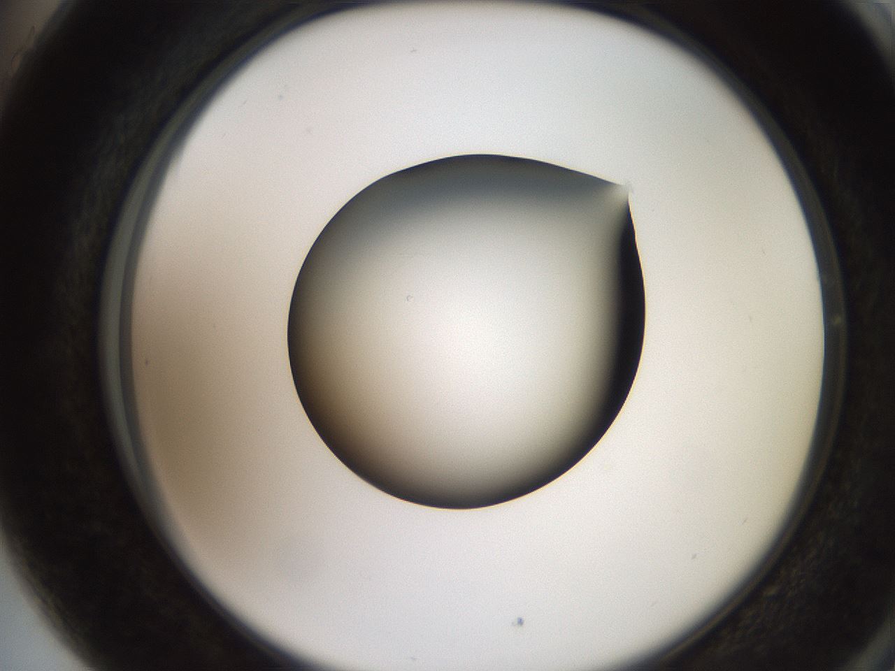 folderID257_plateID2257_batchID10332_wellNum89_profileID1_d2_r156787_ef.jpg