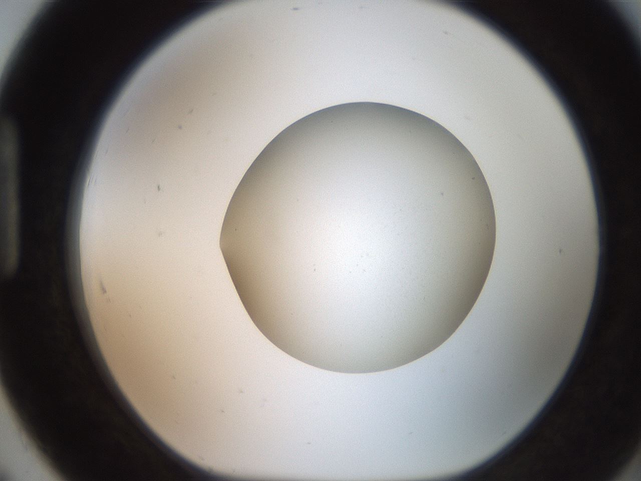 folderID257_plateID2257_batchID10332_wellNum91_profileID1_d1_r156790_ef.jpg