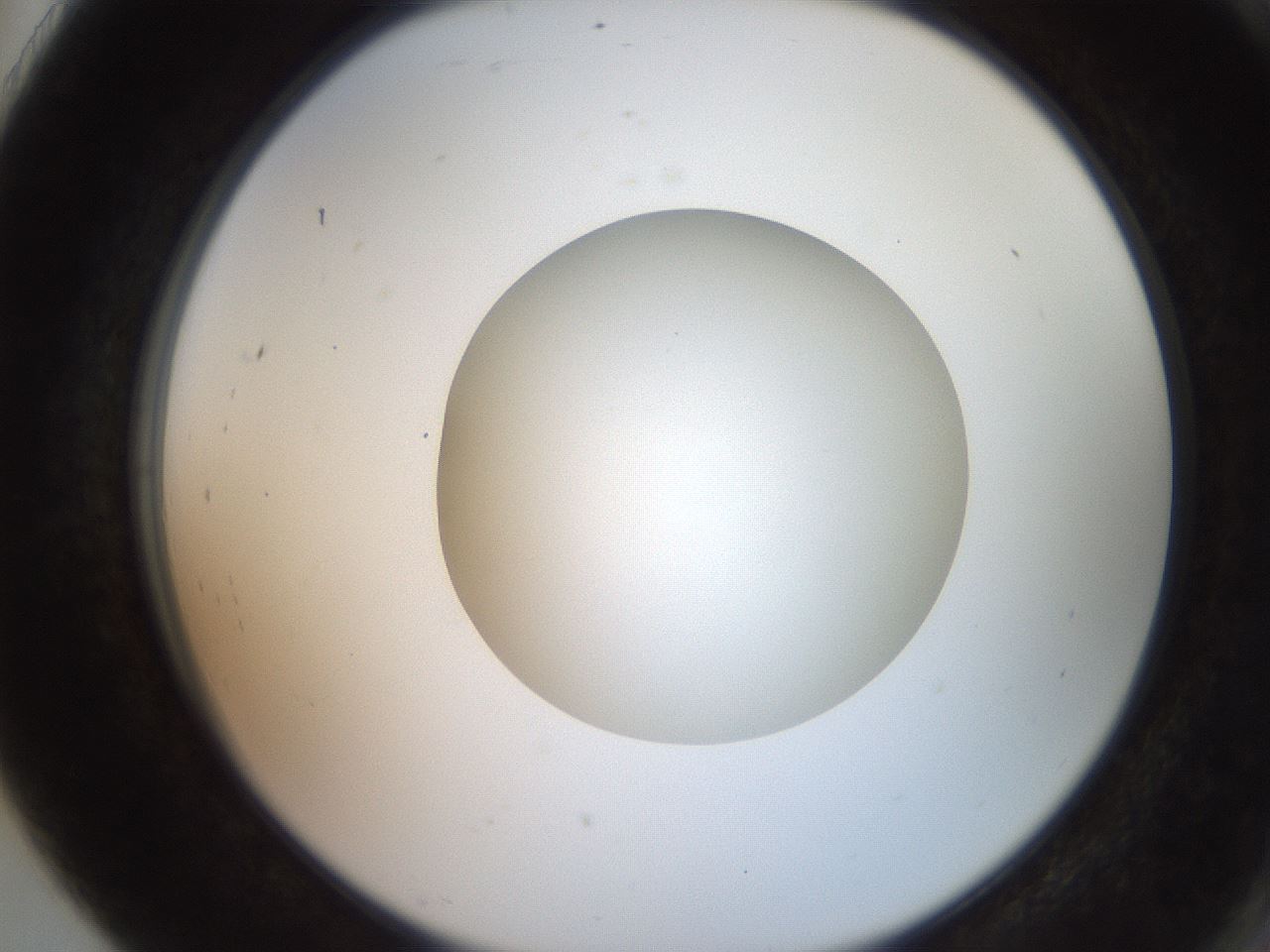 folderID257_plateID2257_batchID10332_wellNum91_profileID1_d2_r156791_ef.jpg