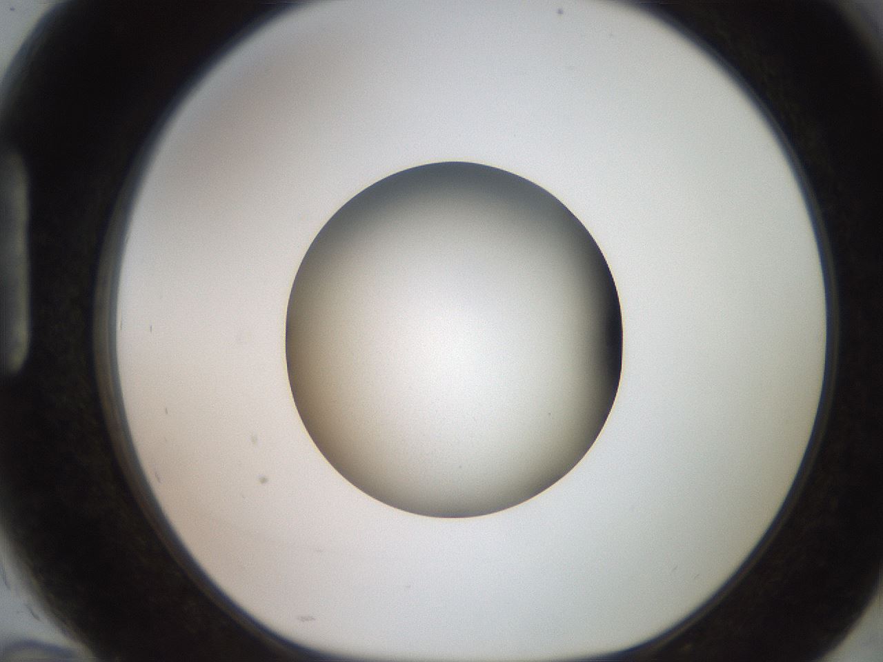 folderID257_plateID2257_batchID10332_wellNum94_profileID1_d1_r156796_ef.jpg