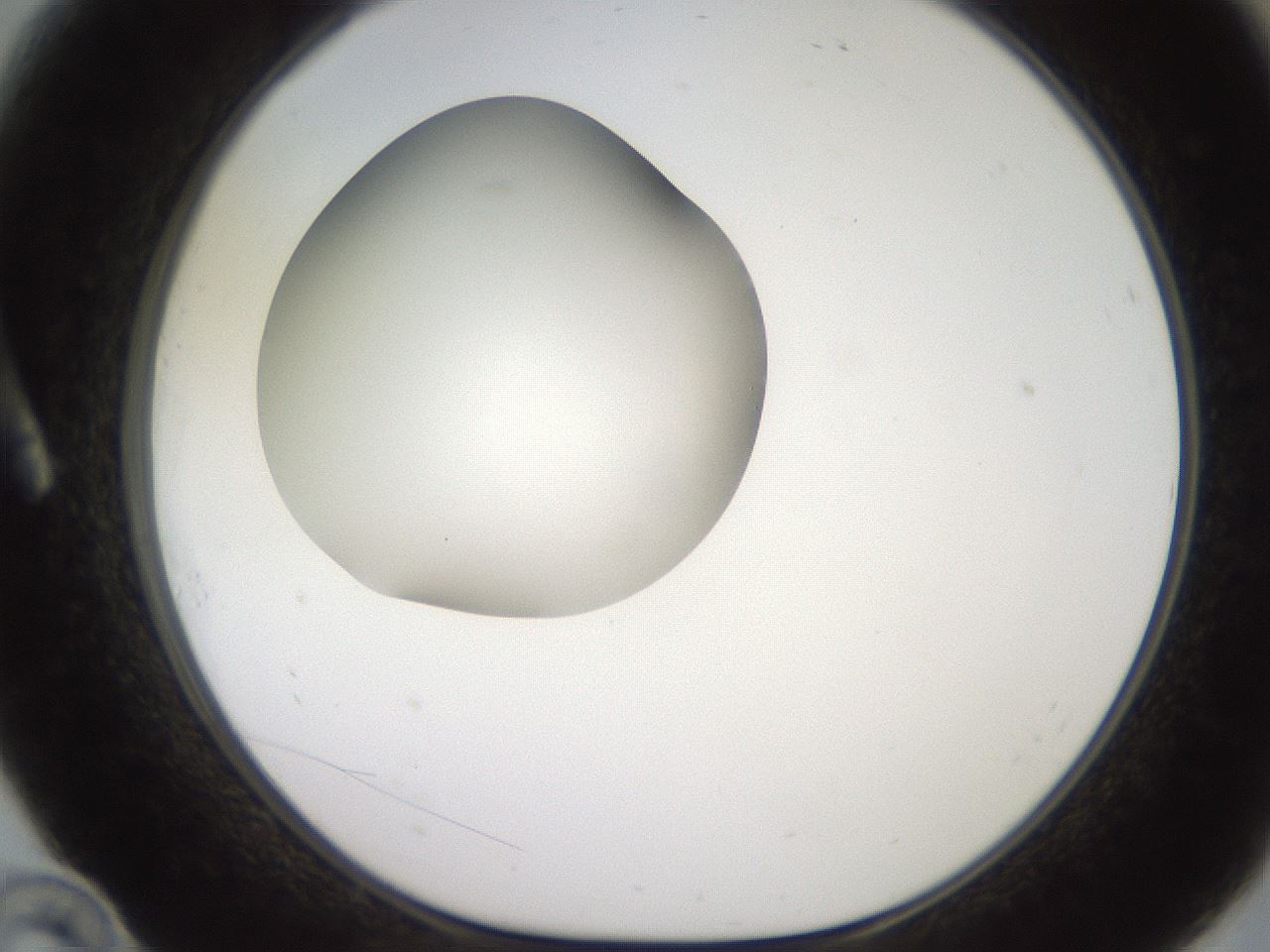 folderID258_plateID2258_batchID10333_wellNum10_profileID1_d1_r156820_ef.jpg