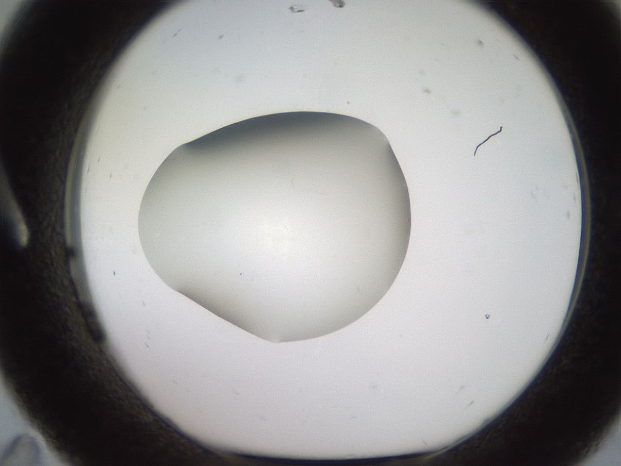 folderID258_plateID2258_batchID10333_wellNum11_profileID1_d1_r156822_ef.jpg