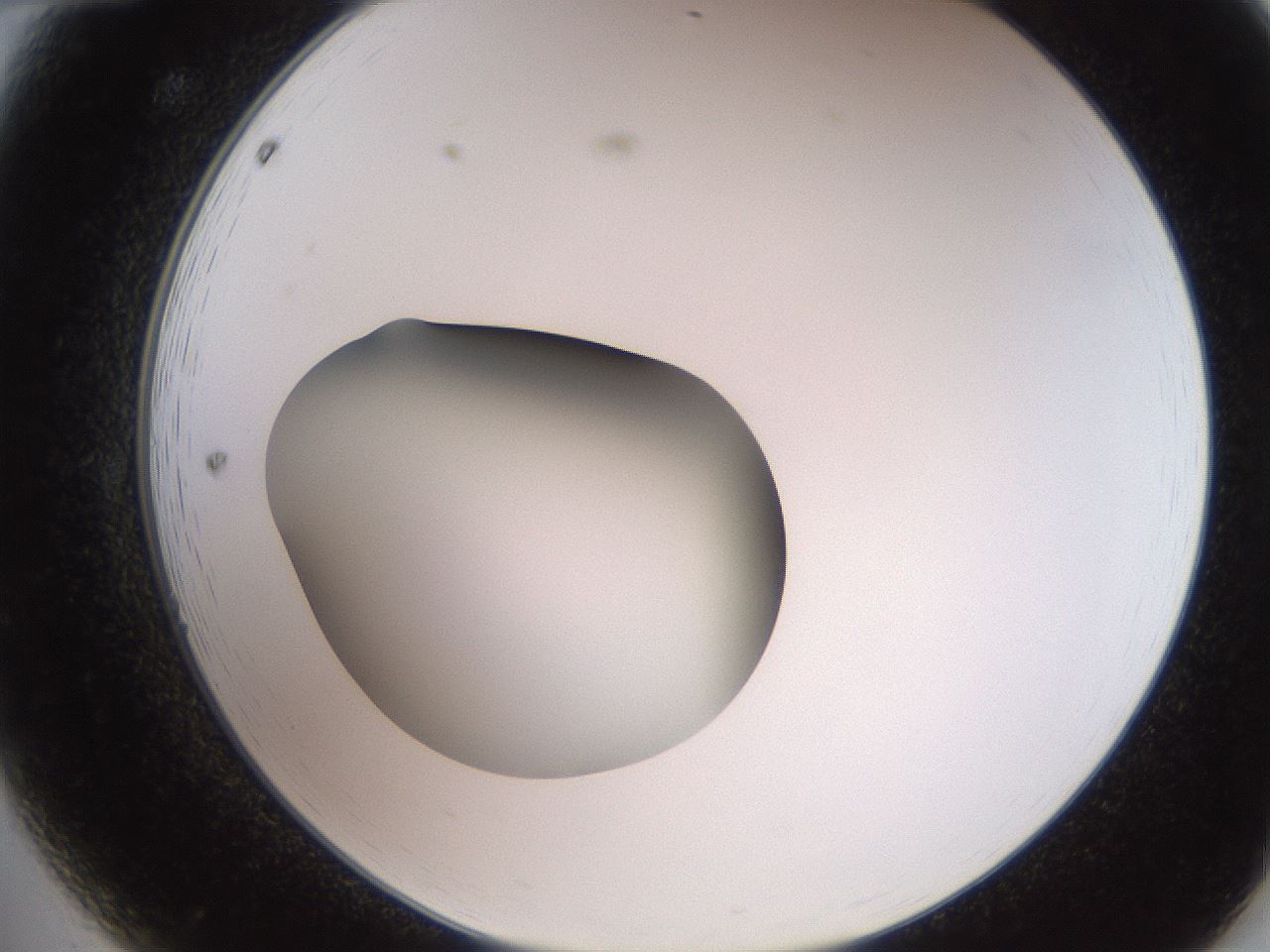 folderID258_plateID2258_batchID10333_wellNum12_profileID1_d2_r156825_ef.jpg
