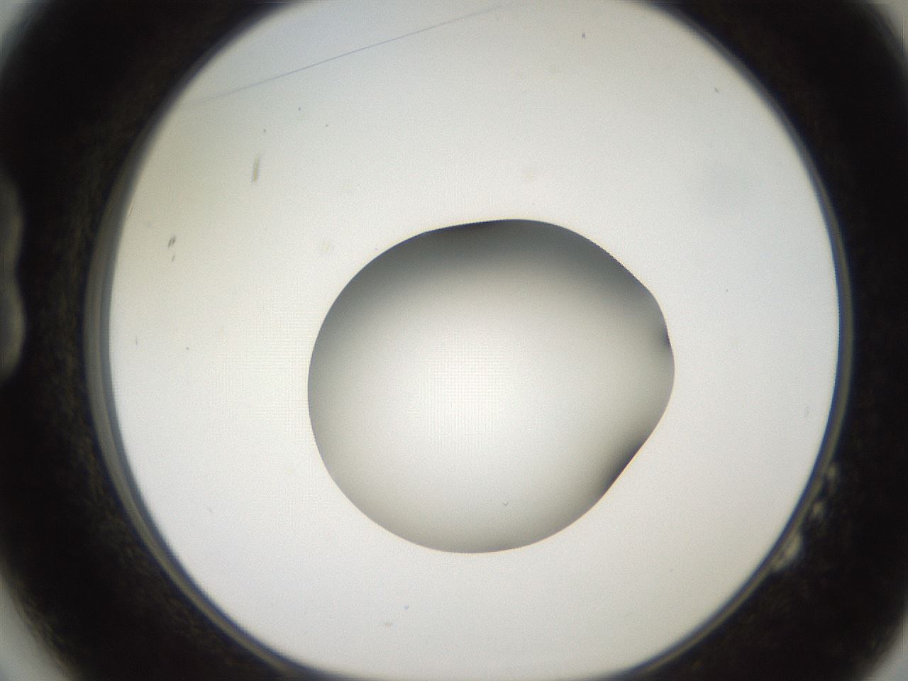 folderID258_plateID2258_batchID10333_wellNum14_profileID1_d1_r156828_ef.jpg