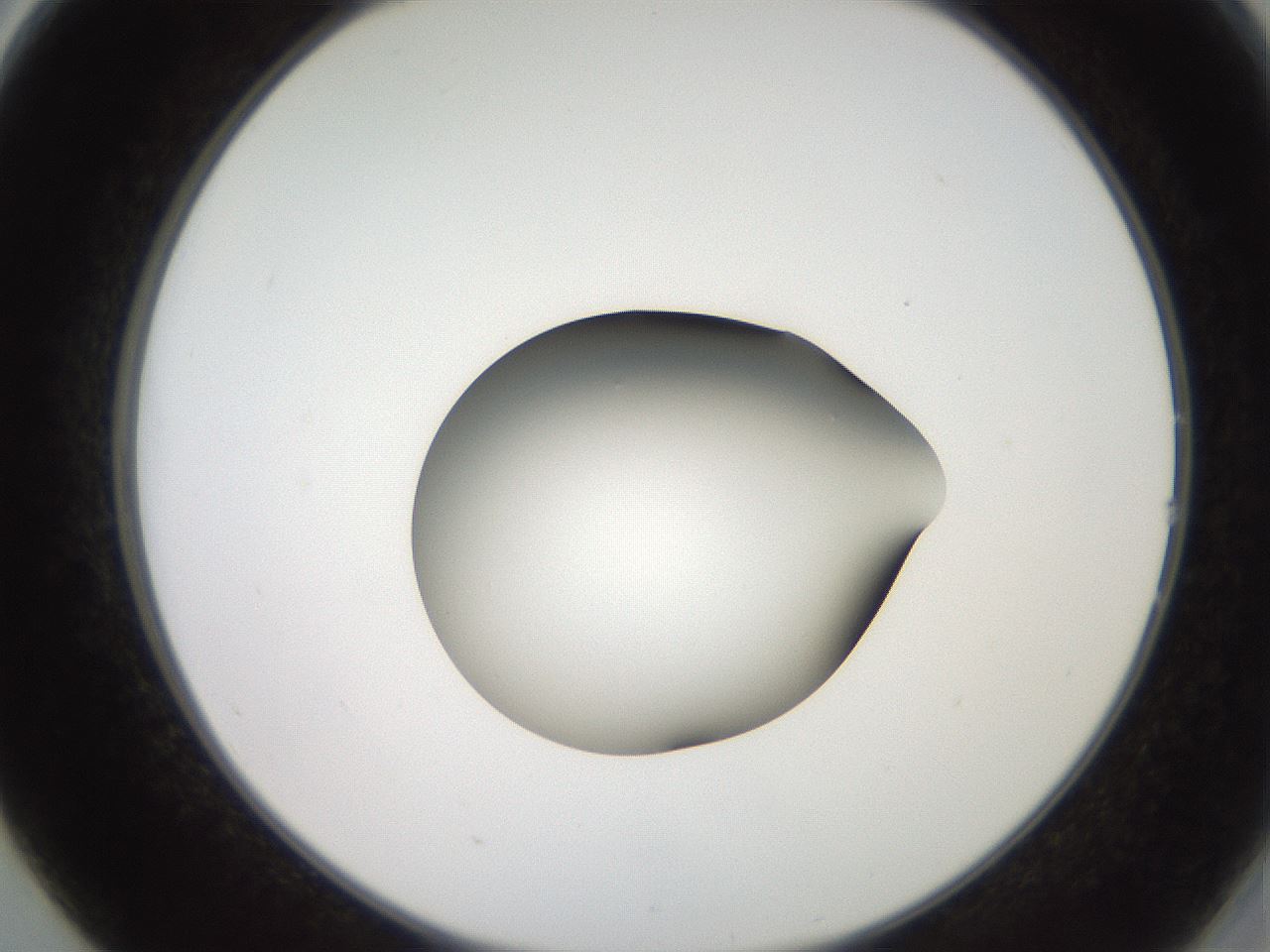 folderID258_plateID2258_batchID10333_wellNum14_profileID1_d2_r156829_ef.jpg