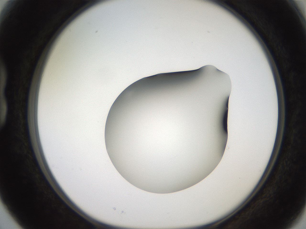 folderID258_plateID2258_batchID10333_wellNum15_profileID1_d1_r156830_ef.jpg