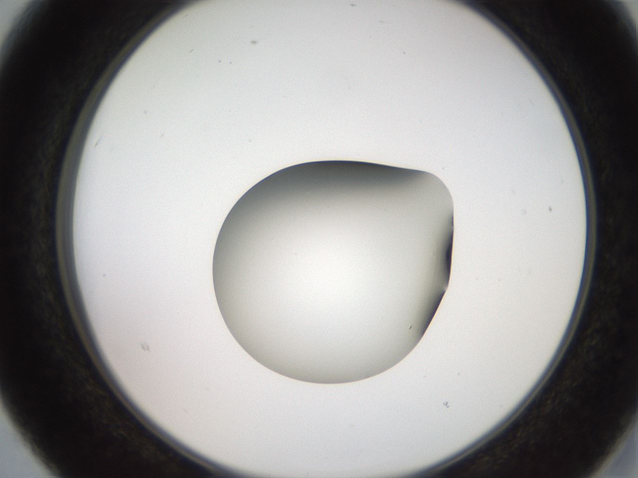 folderID258_plateID2258_batchID10333_wellNum15_profileID1_d2_r156831_ef.jpg