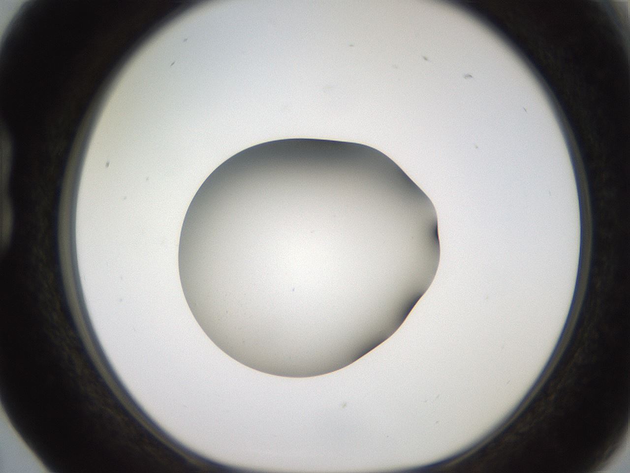 folderID258_plateID2258_batchID10333_wellNum17_profileID1_d1_r156834_ef.jpg
