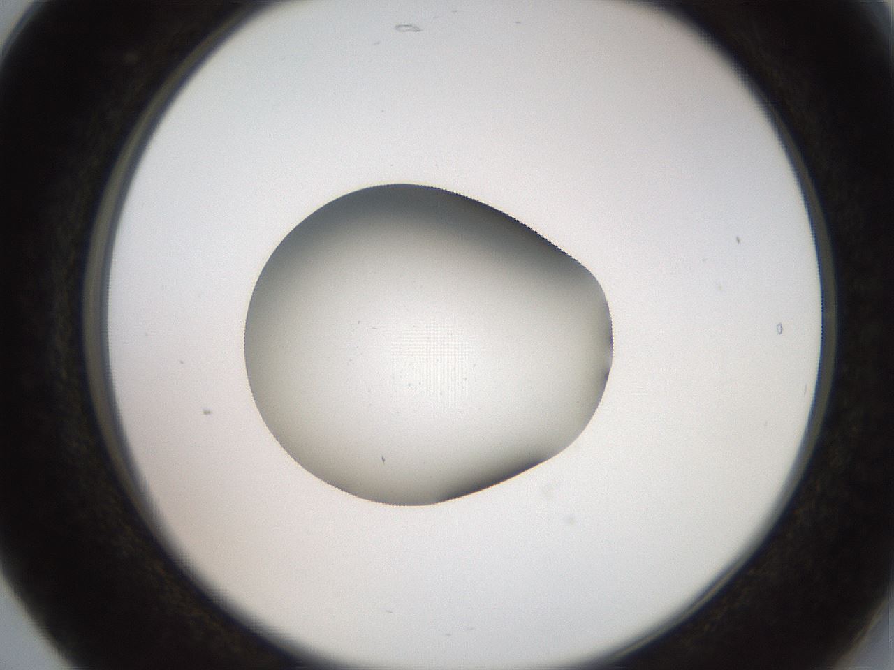 folderID258_plateID2258_batchID10333_wellNum17_profileID1_d2_r156835_ef.jpg