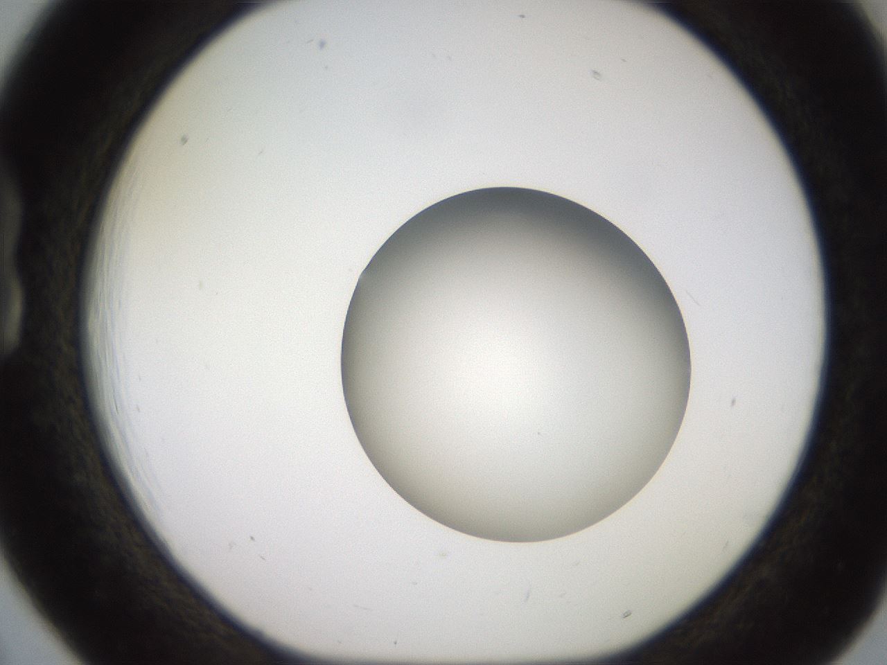 folderID258_plateID2258_batchID10333_wellNum18_profileID1_d1_r156836_ef.jpg