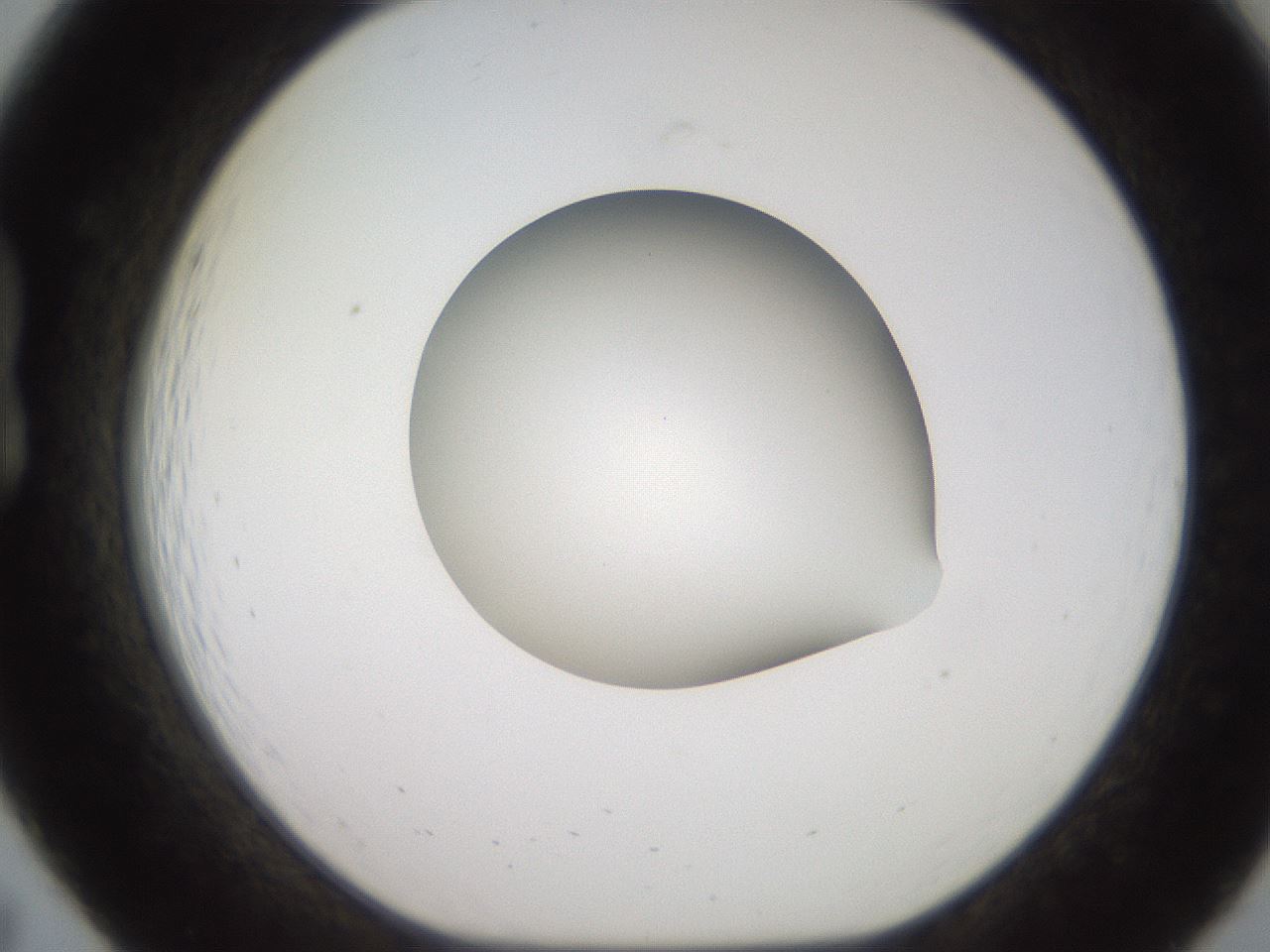 folderID258_plateID2258_batchID10333_wellNum19_profileID1_d1_r156838_ef.jpg