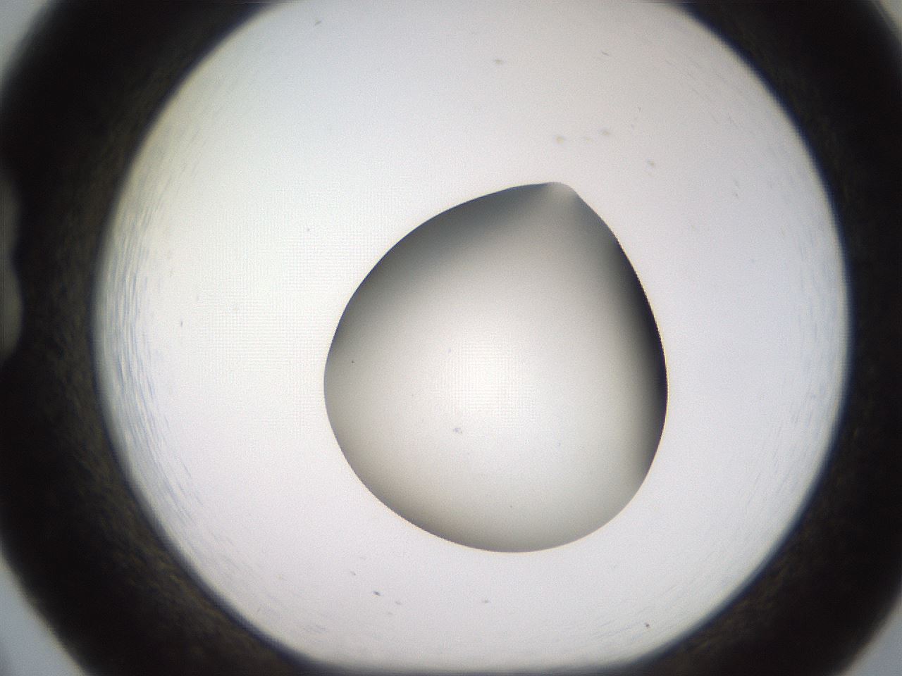 folderID258_plateID2258_batchID10333_wellNum20_profileID1_d1_r156840_ef.jpg