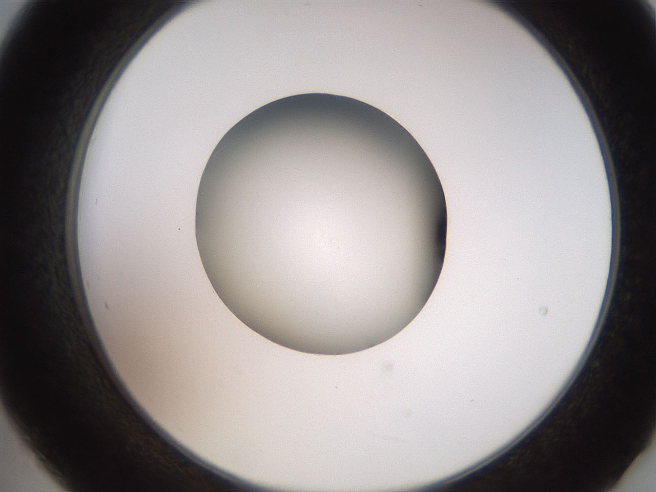 folderID258_plateID2258_batchID10333_wellNum21_profileID1_d2_r156843_ef.jpg