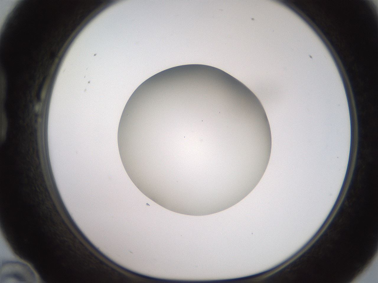 folderID258_plateID2258_batchID10333_wellNum22_profileID1_d1_r156844_ef.jpg