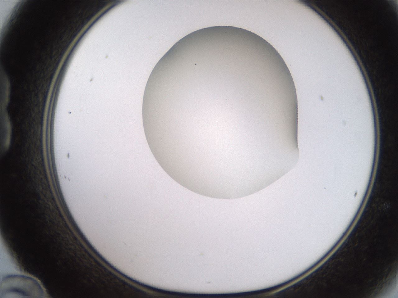 folderID258_plateID2258_batchID10333_wellNum24_profileID1_d1_r156848_ef.jpg