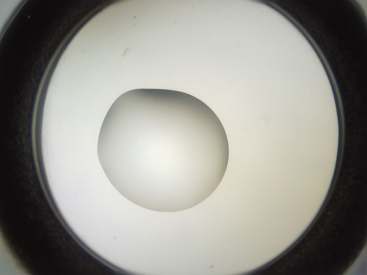 folderID258_plateID2258_batchID10333_wellNum25_profileID1_d2_r156851_ef.jpg