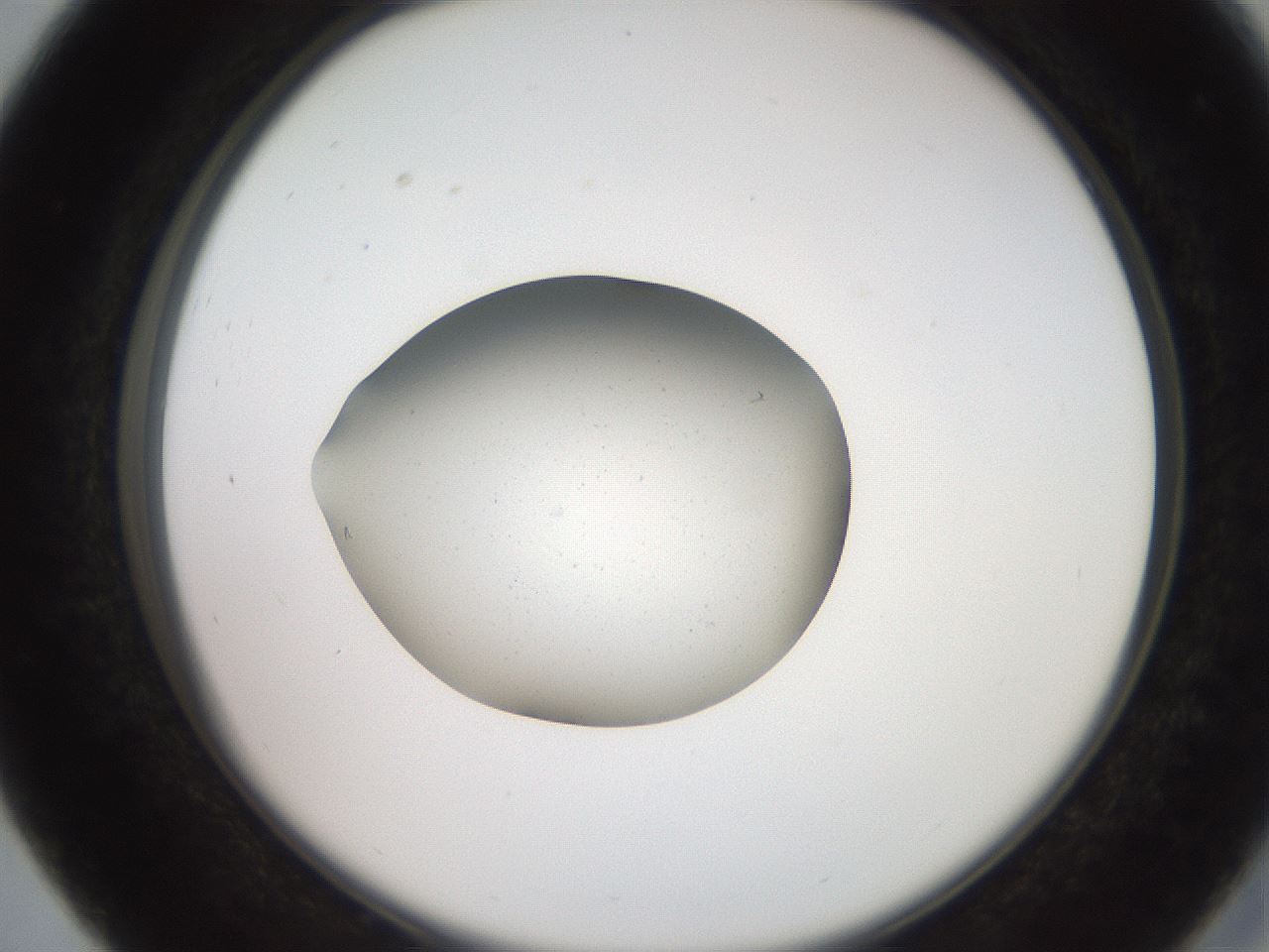 folderID258_plateID2258_batchID10333_wellNum27_profileID1_d2_r156855_ef.jpg