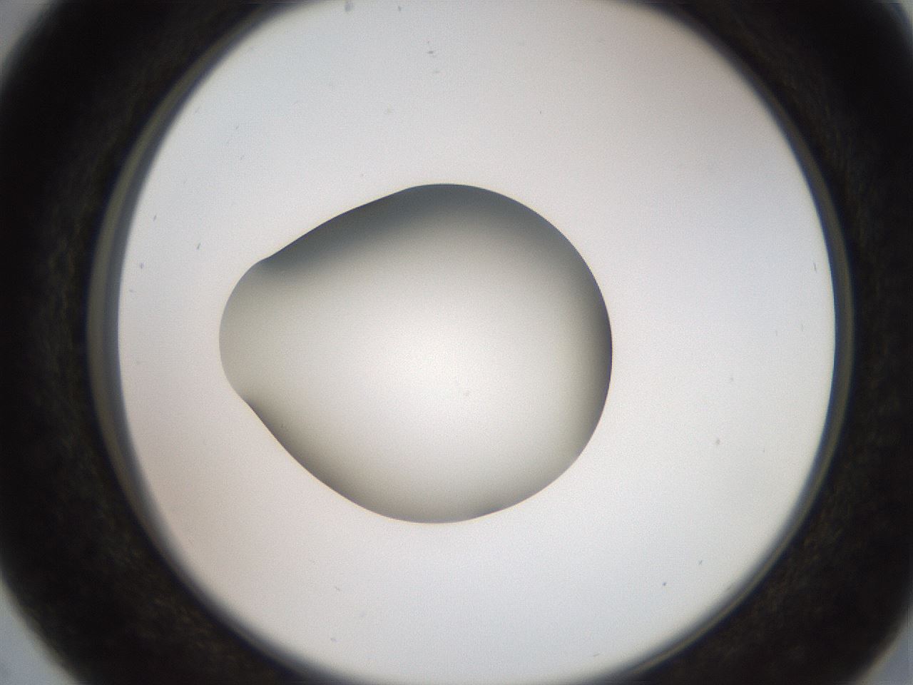folderID258_plateID2258_batchID10333_wellNum29_profileID1_d2_r156859_ef.jpg