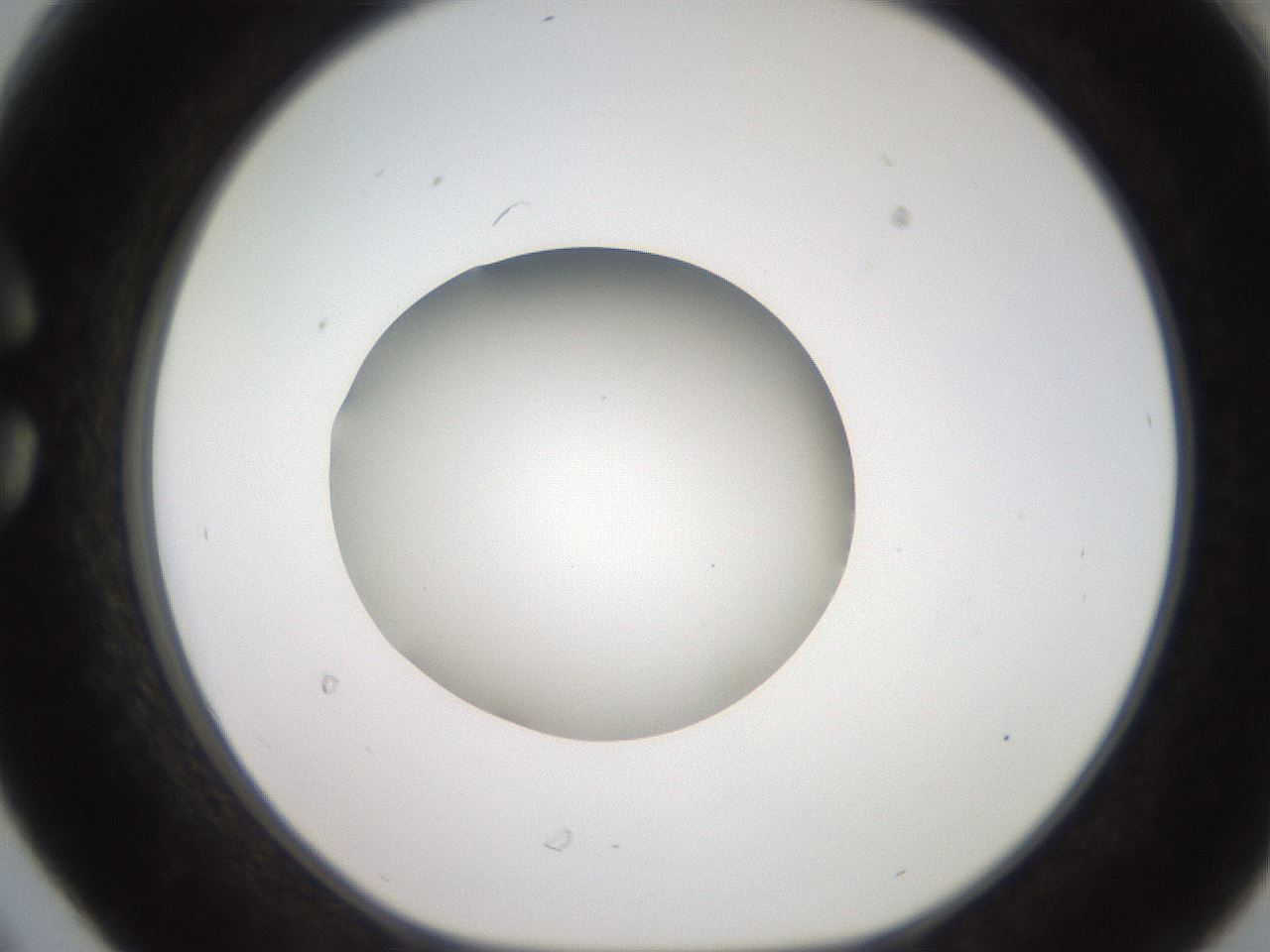 folderID258_plateID2258_batchID10333_wellNum30_profileID1_d1_r156860_ef.jpg