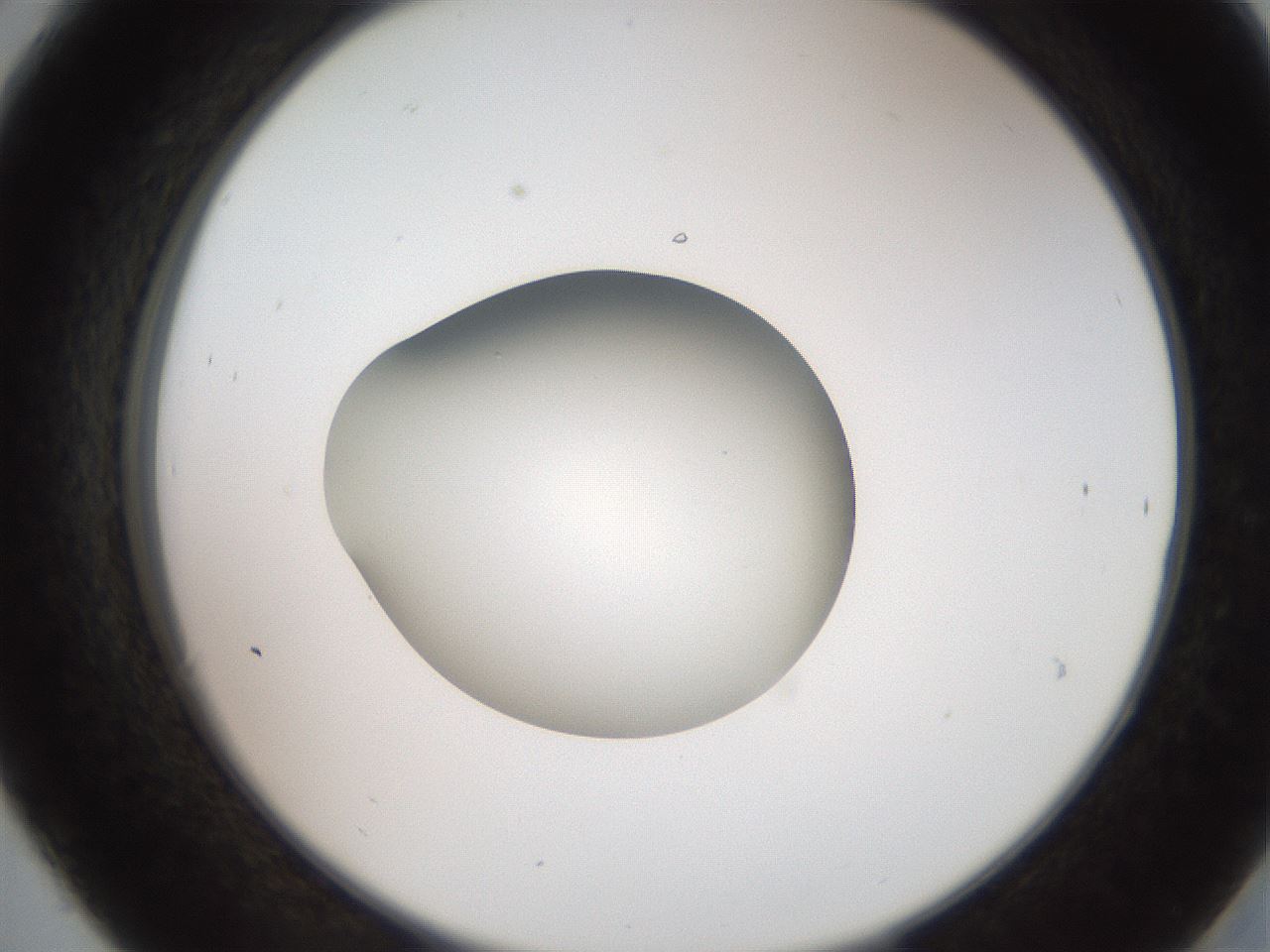 folderID258_plateID2258_batchID10333_wellNum30_profileID1_d2_r156861_ef.jpg