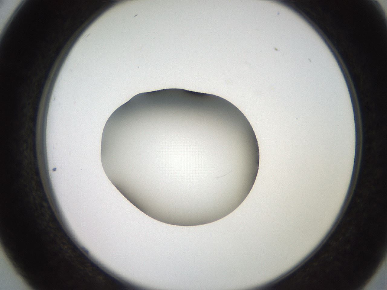 folderID258_plateID2258_batchID10333_wellNum26_profileID1_d2_r156853_ef.jpg