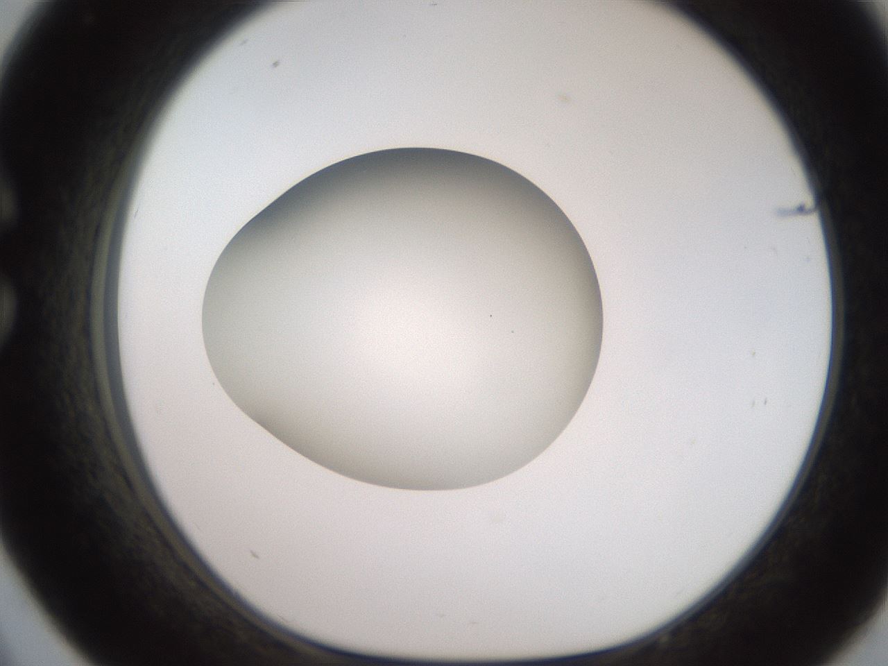 folderID258_plateID2258_batchID10333_wellNum33_profileID1_d1_r156866_ef.jpg