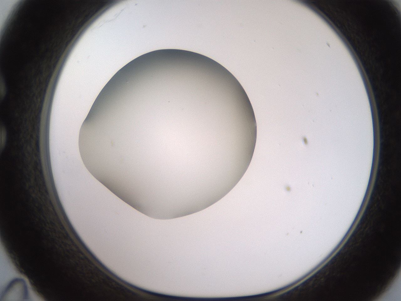 folderID258_plateID2258_batchID10333_wellNum35_profileID1_d1_r156870_ef.jpg