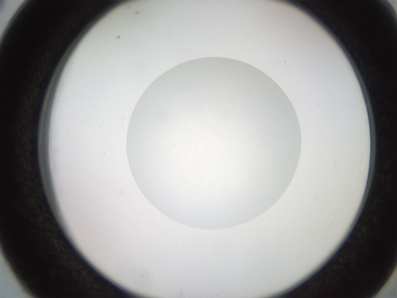 folderID258_plateID2258_batchID10333_wellNum38_profileID1_d2_r156877_ef.jpg