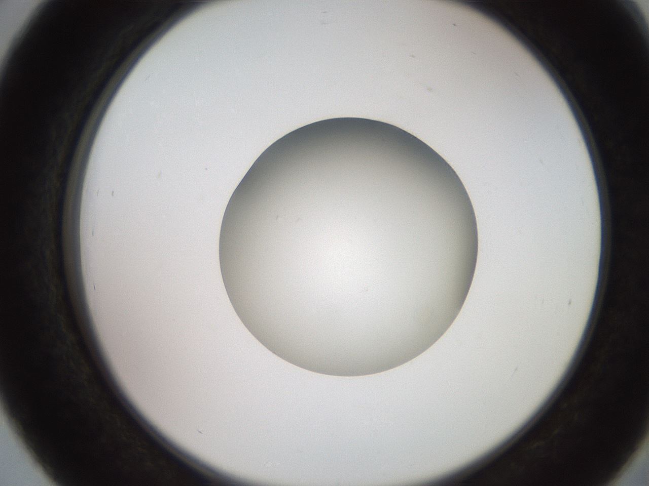 folderID258_plateID2258_batchID10333_wellNum39_profileID1_d2_r156879_ef.jpg