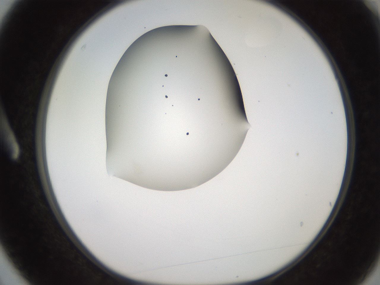 folderID258_plateID2258_batchID10333_wellNum3_profileID1_d1_r156806_ef.jpg