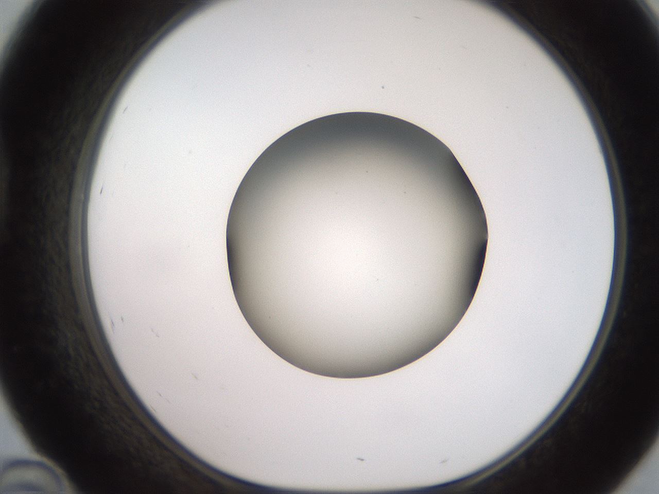 folderID258_plateID2258_batchID10333_wellNum46_profileID1_d1_r156892_ef.jpg