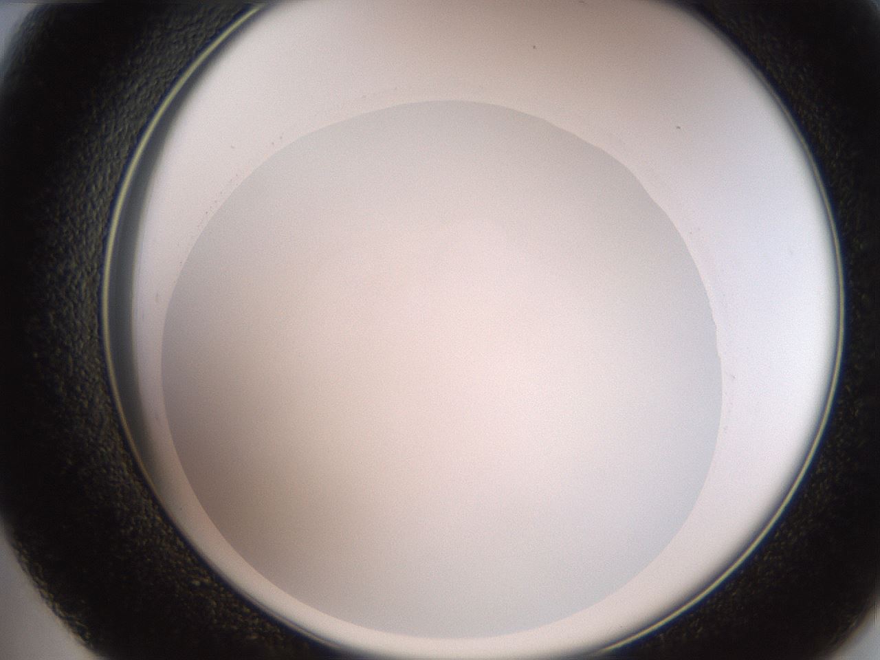 folderID258_plateID2258_batchID10333_wellNum48_profileID1_d2_r156897_ef.jpg