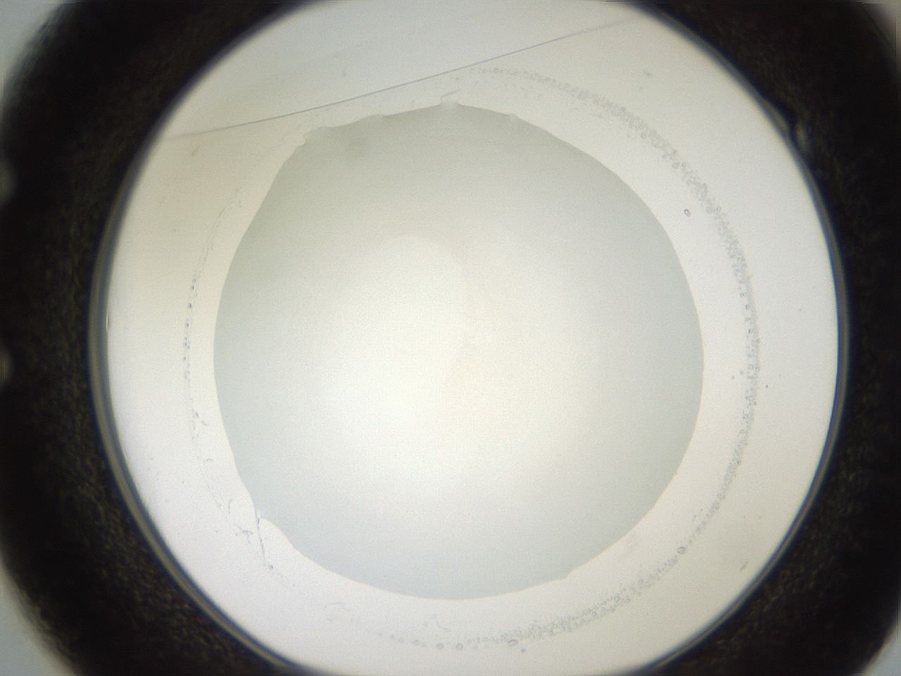 folderID258_plateID2258_batchID10333_wellNum49_profileID1_d1_r156898_ef.jpg