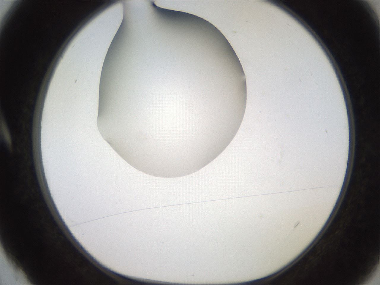 folderID258_plateID2258_batchID10333_wellNum4_profileID1_d1_r156808_ef.jpg