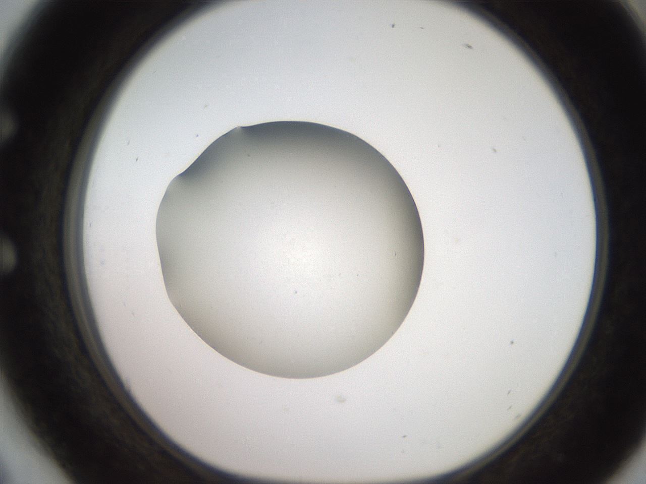 folderID258_plateID2258_batchID10333_wellNum54_profileID1_d1_r156908_ef.jpg