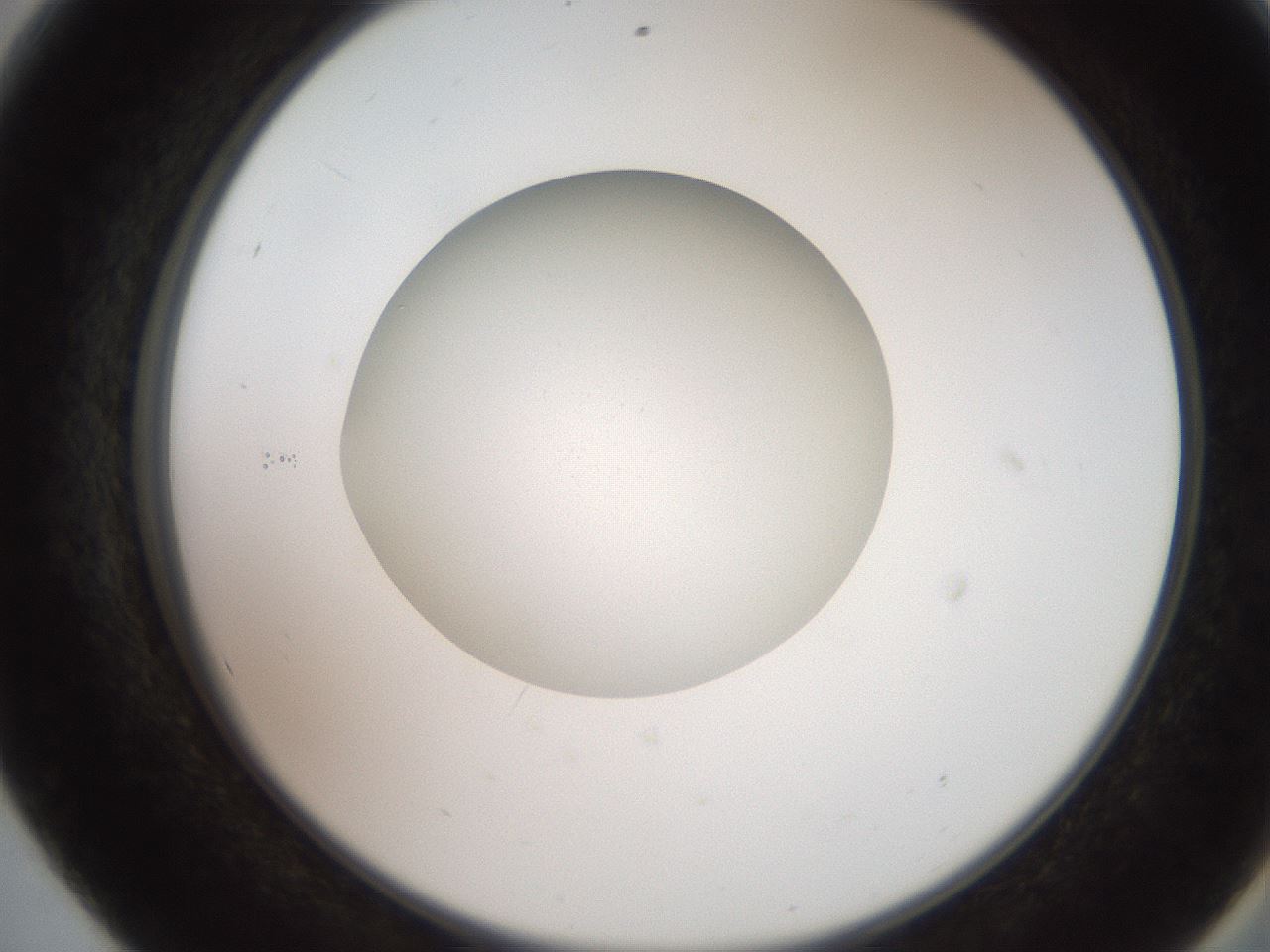 folderID258_plateID2258_batchID10333_wellNum56_profileID1_d2_r156913_ef.jpg