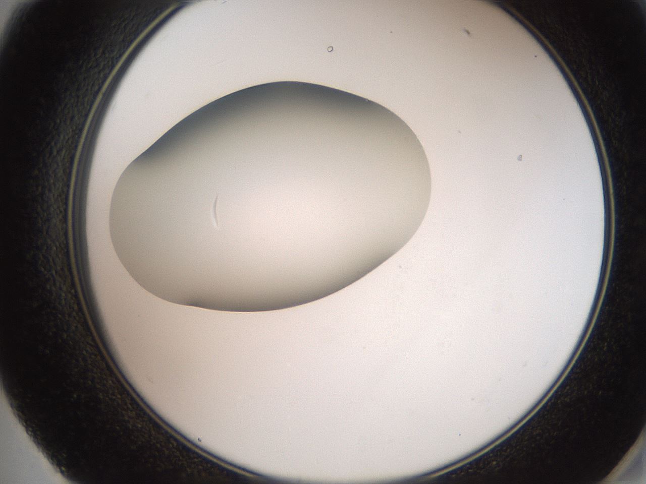 folderID258_plateID2258_batchID10333_wellNum59_profileID1_d2_r156919_ef.jpg