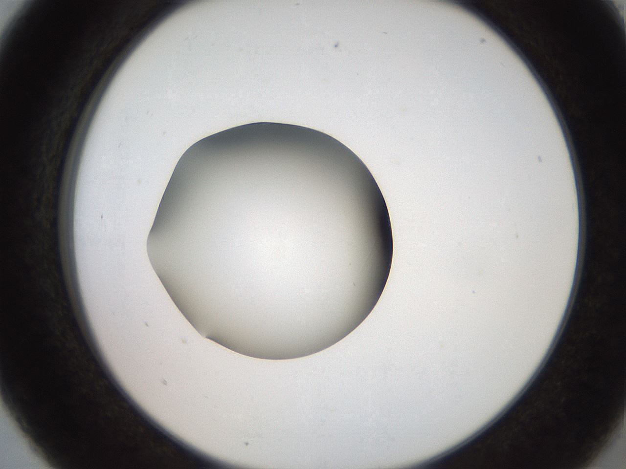 folderID258_plateID2258_batchID10333_wellNum5_profileID1_d2_r156811_ef.jpg