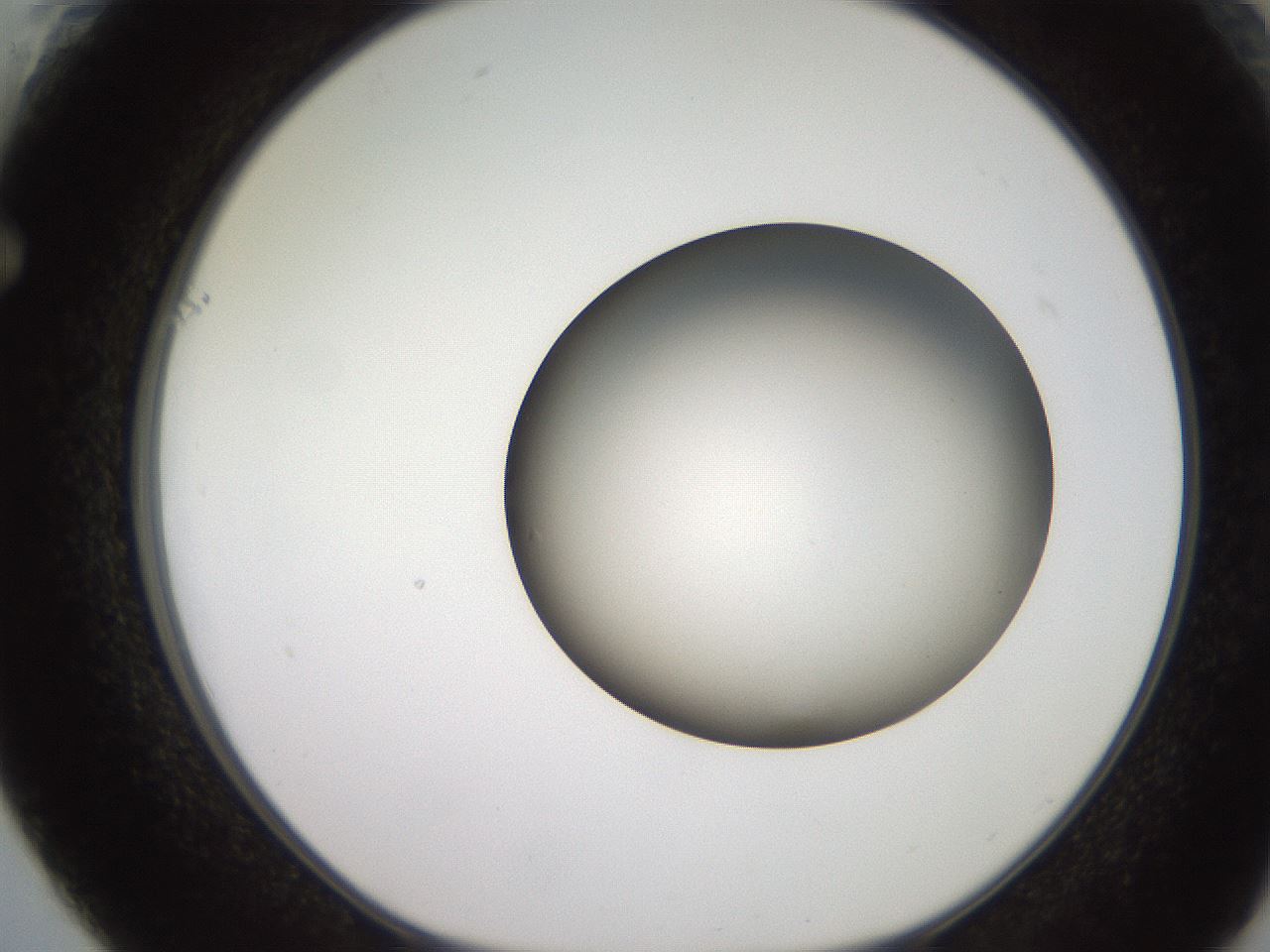 folderID258_plateID2258_batchID10333_wellNum61_profileID1_d1_r156922_ef.jpg