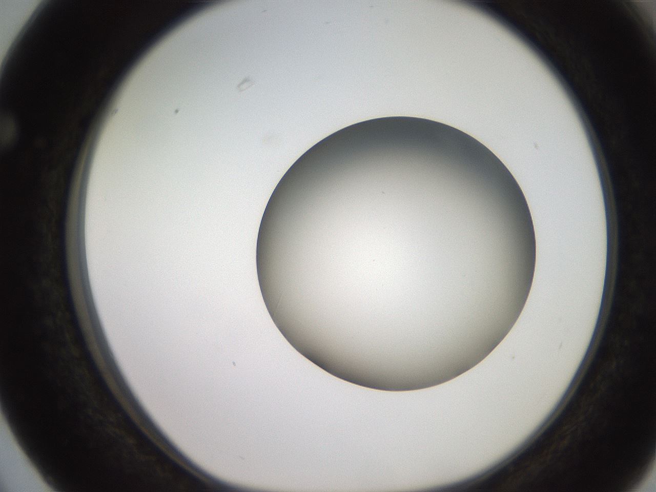 folderID258_plateID2258_batchID10333_wellNum63_profileID1_d1_r156926_ef.jpg