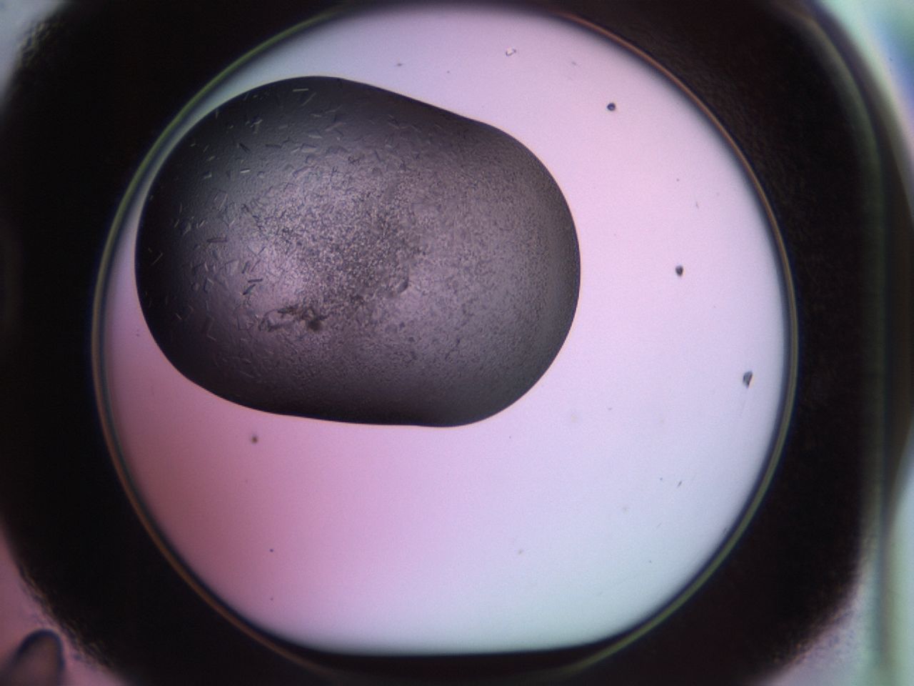 02ja_D11_ImagerDefaults_8.jpg