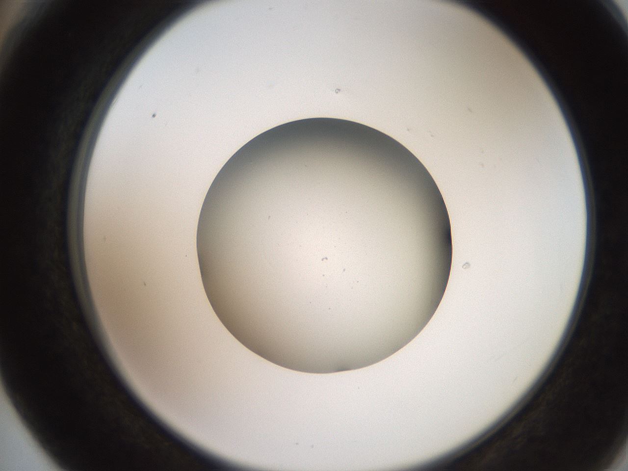 folderID258_plateID2258_batchID10333_wellNum66_profileID1_d2_r156933_ef.jpg