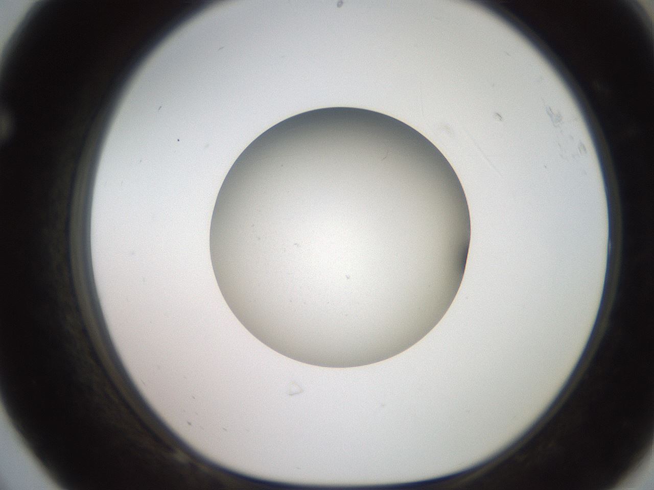 folderID258_plateID2258_batchID10333_wellNum68_profileID1_d1_r156936_ef.jpg