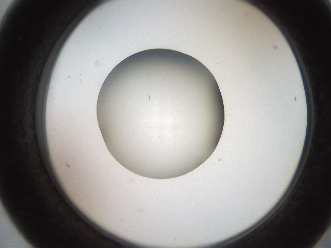 folderID258_plateID2258_batchID10333_wellNum68_profileID1_d2_r156937_ef.jpg