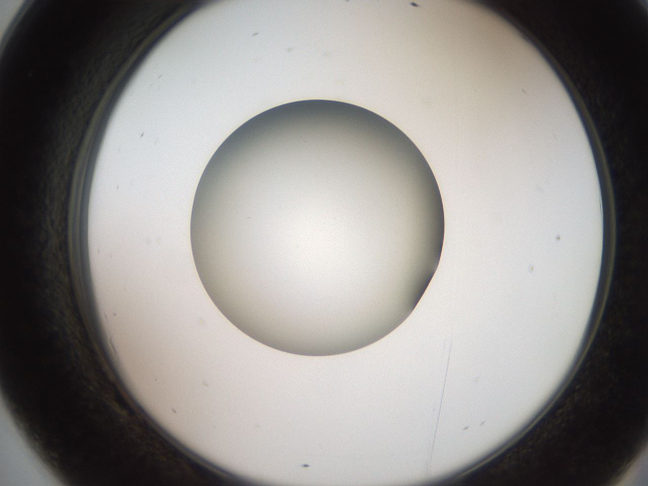 folderID258_plateID2258_batchID10333_wellNum69_profileID1_d2_r156939_ef.jpg