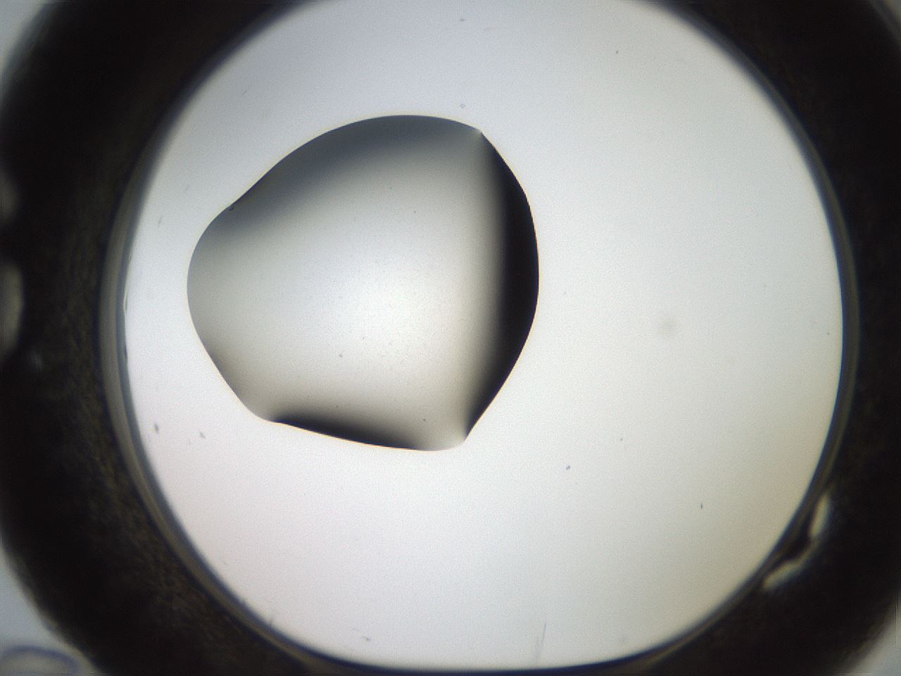 folderID258_plateID2258_batchID10333_wellNum82_profileID1_d1_r156964_ef.jpg