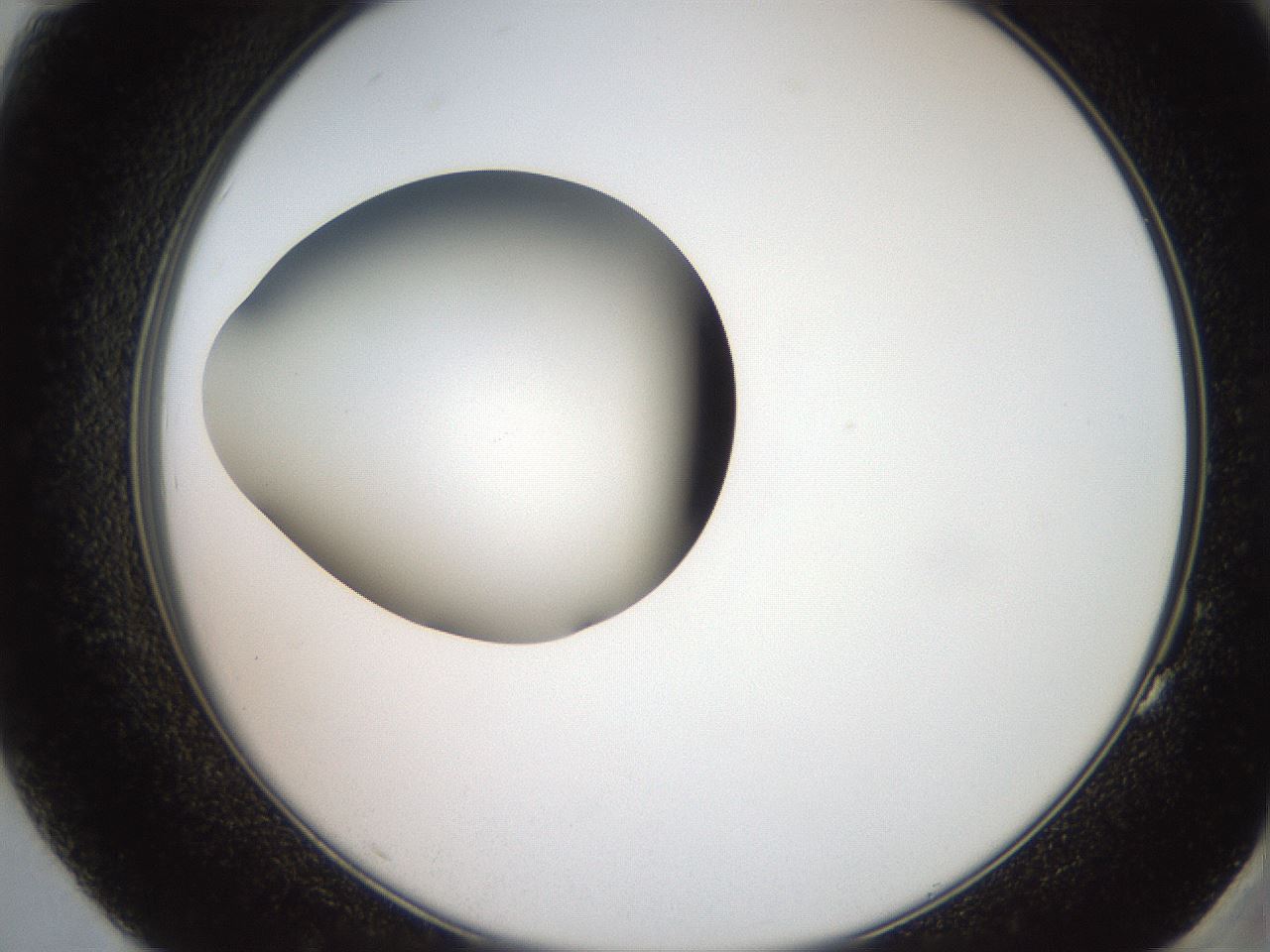 folderID258_plateID2258_batchID10333_wellNum83_profileID1_d2_r156967_ef.jpg