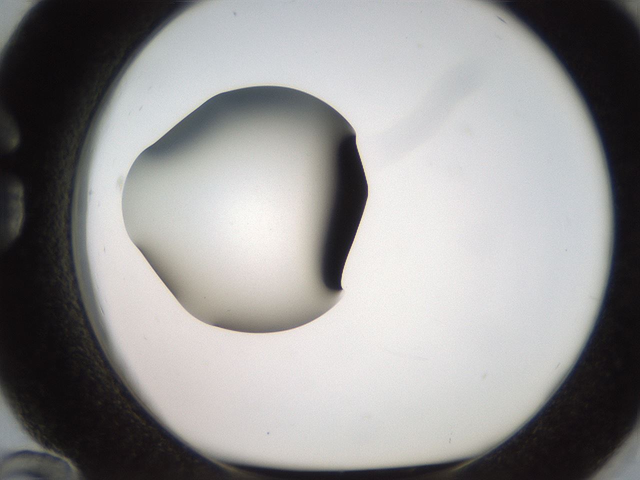 folderID258_plateID2258_batchID10333_wellNum84_profileID1_d1_r156968_ef.jpg